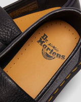 아드리안 앰버서더