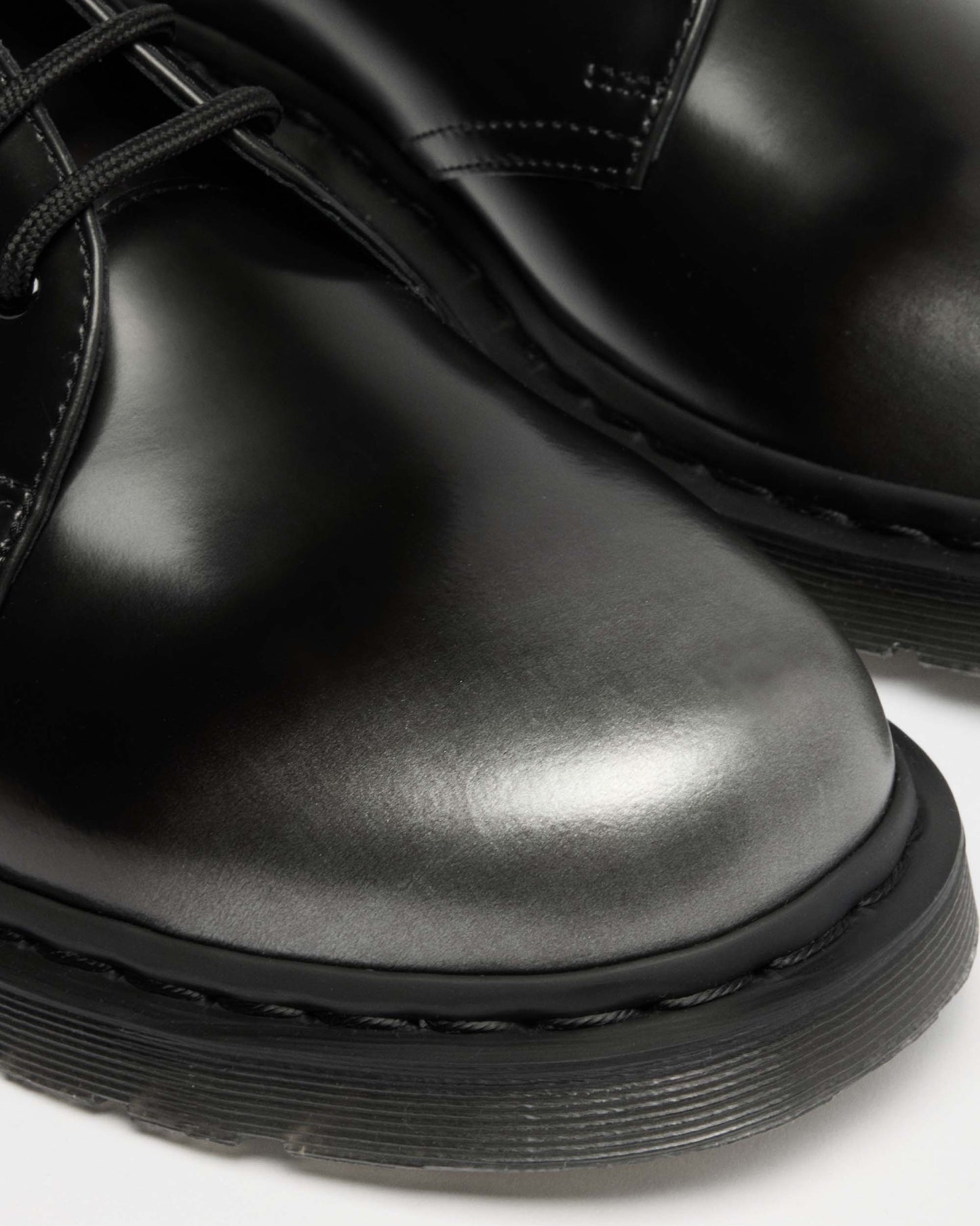 1461 실버 아카디아