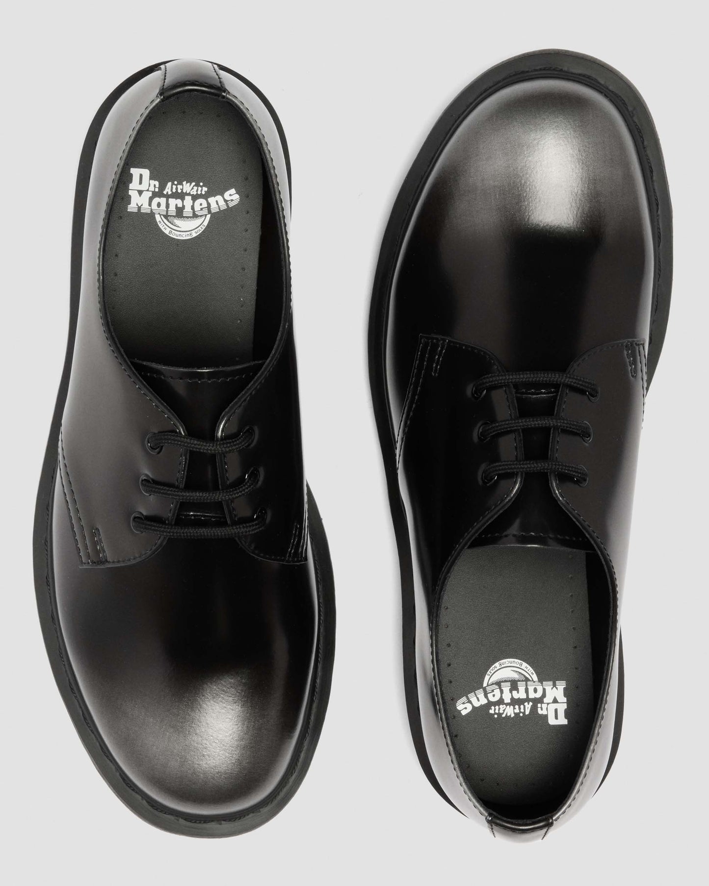 1461 실버 아카디아