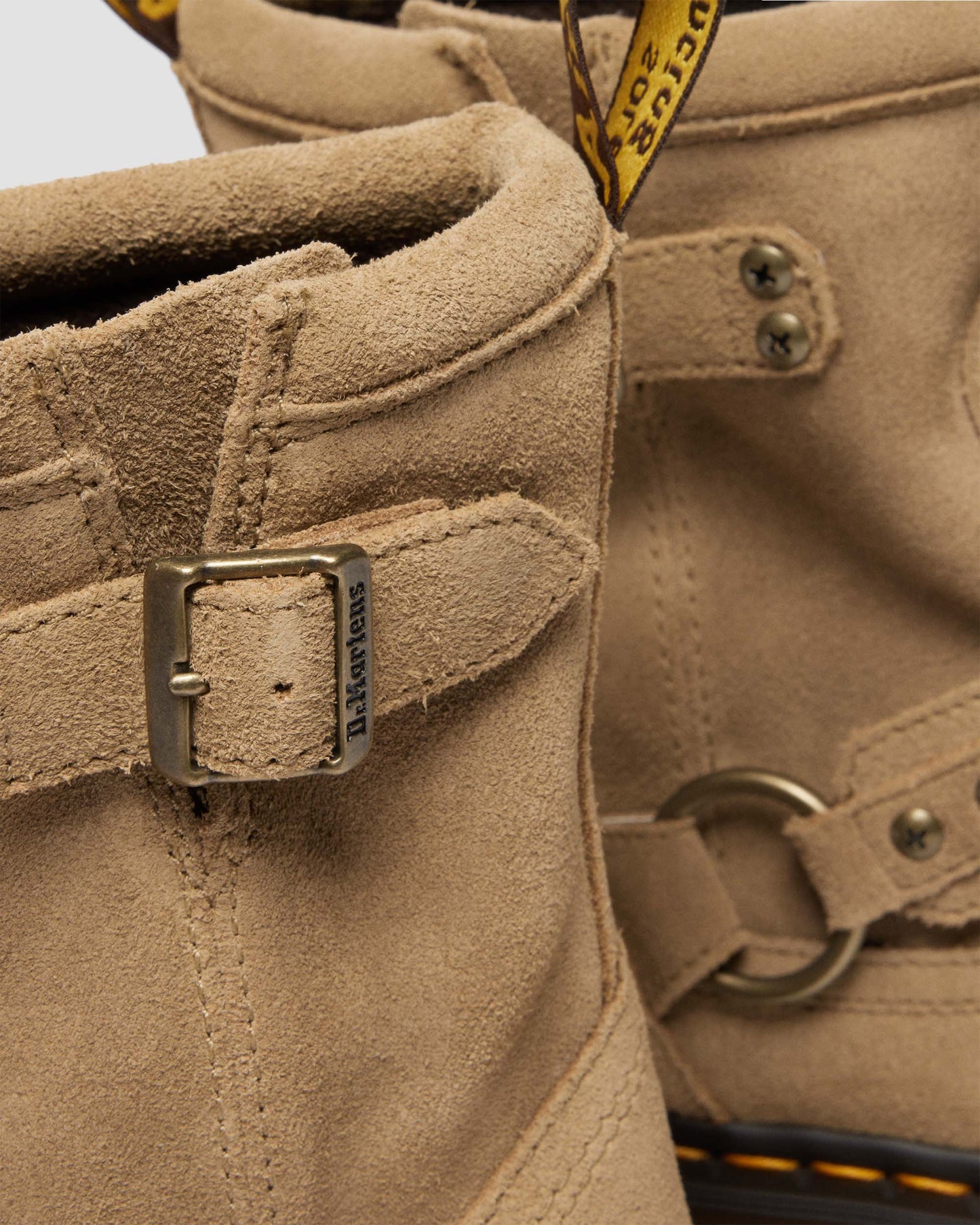 애니스톤 하네스