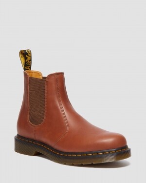 2976 Saddle